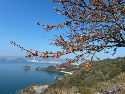 260219kawadu_kasado05