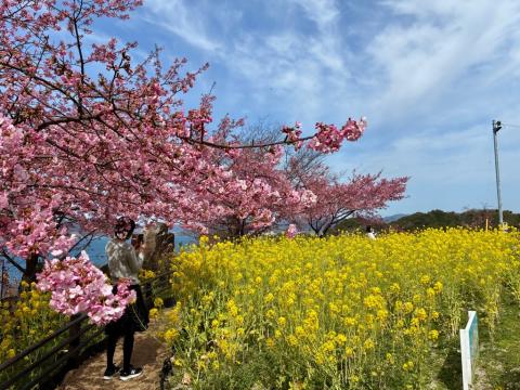 260223kawadu_kasado02