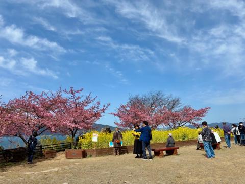 260223kawadu_kasado03