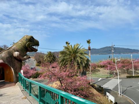 260223kawadu_kasado05