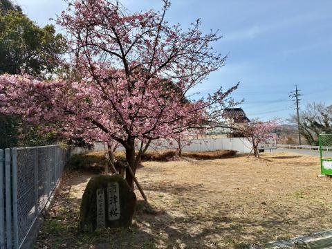 260223kawadu_kasado08