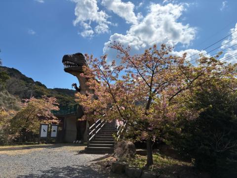 260313kawadu_kasado04