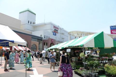 39saiten_syashin06