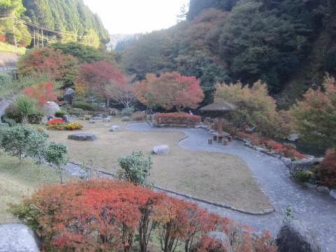 滝の口河川公園紅葉H291102