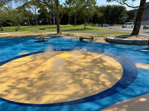 koigahama_kunai_park_mist