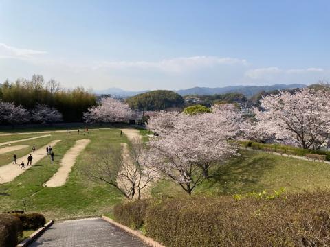 kudamatsu-park-tamokutekihiroba