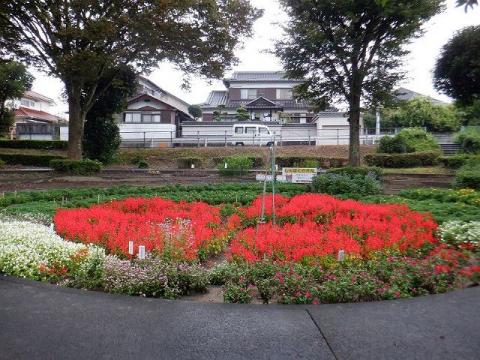 令和元年東陽5丁目自治会