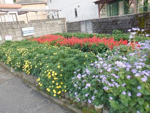 令和元年豊井自治会