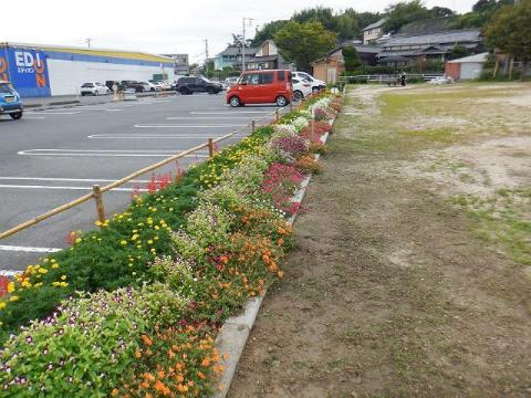 Ｒ３薬公園ふれあい花壇